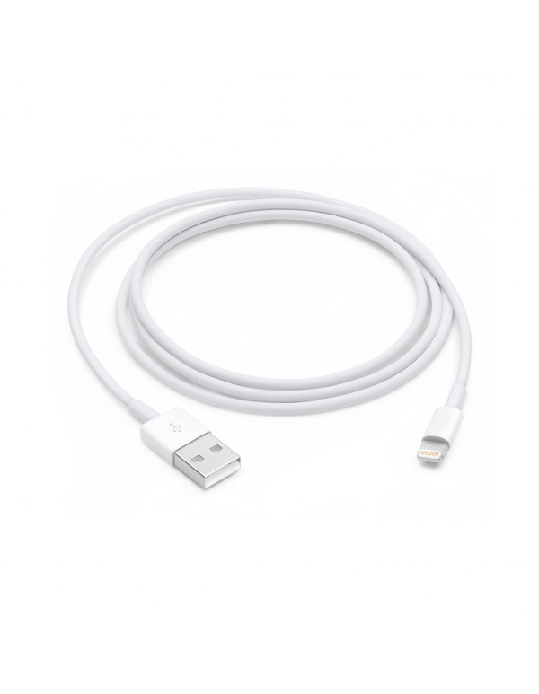 iPhone Data Cable